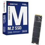Biostar SSD M.2 NVME 256GB 2800MBs/1150MBs M760 | Eponuda.com