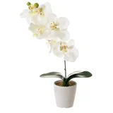 Umetna rastlina Orchid – Casa Selección