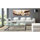  Slika - Endless Beauty 135x45 | shoptok.hr