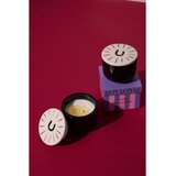 Paddywax Charmed Tabac & Pine dišeča sveča s pokrovčkom 226 g | Shoptok.si