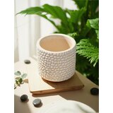 Sinsay Tegla za biljke | shoptok.hr