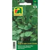 Mangold "Verde da taglio"