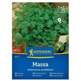 KIEPENKERL Zeliščna semena Krebuljica Massa (Anthriscus cerefolium, Čas setve: April, Čas žetve: Maj) Cene
