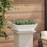  Vrtna saksija 5 pcs Bijelo 50 x 50 x 15 cm Čelična vrata | shoptok.hr