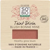 SO’BiO étic Teint Divin Rouge - 01 Bois de rose