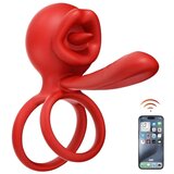 STD VIBRACIJSKI EREKCIJSKI OBROČEK Tongue Licking I. | Shoptok.si