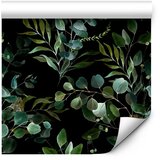  Tapeta - Painted Nature 50x1000 | shoptok.hr