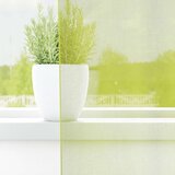 Voile zavjese s gornjim dijelom od 2 komada, jabučno zelene boje | Shoptok.si