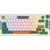 BZ ROYAL KLUDGE BREZŽIČNA MEHANSKA TIPKOVNICA ZA PC RGB SKY CYAN STIKALO, (5000089327) | Shoptok.si