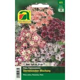 AUSTROSAAT Plamenka "mešanica - zvezdna čaronija" | Shoptok.si