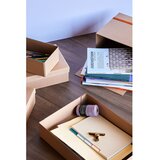Hübsch Kartonast organizator za dokumente Elo – | Shoptok.si