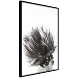 Poster - Funny Chihuahua 40x60 Cijene