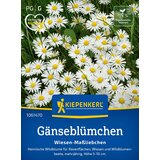 KIEPENKERL Navadna marjetica - 1 pkt. Cene
