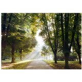  Samoljepljiva foto tapeta - Morning Walk 147x105 | shoptok.hr