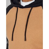 DStreet Bluza męska basic z kapturem kamelowa | Shoptok.si