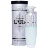 New Brand Parfums Prestige Luxury toaletna voda 100 ml za muškarce Cijene