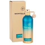Montale day dreams parfumska voda 100 ml unisex | Shoptok.si
