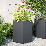 vidaXL Vrtno korito 2 kosa antracit šestkotnik 46x40x45 cm jeklo | Shoptok.si