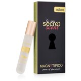 Magnetifico secret scent for men 20ml Cene