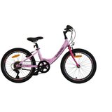 CROSSBIKE DOO 20
