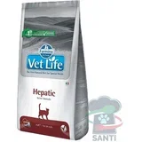 Hypoallergenic Egg & Rice - 2 kg