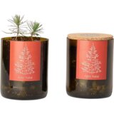  Bottle Garden "Božično drevesce" - 1 k. | Shoptok.si
