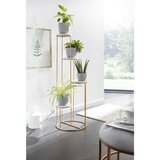 MID.YOU Stojalo Za Rože Wohnling | Shoptok.si
