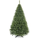  Božićna jelka od jele 250 cm Slike