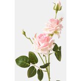 Sinsay Ukrasna umjetna biljka | shoptok.hr