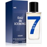 Iceberg Eau de Cedar Eau De Toilette 100 ml (man) | shoptok.hr