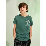 Sinsay majica kratkih rukava s printom za dječake 0836F-97X
