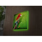 Wallity Zidna slika sa LED osvetljenjem 4040DACT-44, 40x40 cm | Eponuda.ba