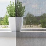 Voile zavjese s ušicama 2 kom tamnosive 140x260 cm | shoptok.hr