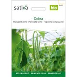 BIO stročji fižol "Cobra" - 20 g | Shoptok.si