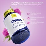 3.Yamamoto Nutrition Sily CAPS – Milk Thistle, 60 kapsula YAMAMOTO NUTRITION | Eponuda.com