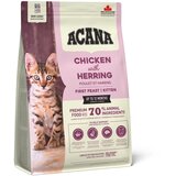 Acana CAT First Feast cat 340 g Cene