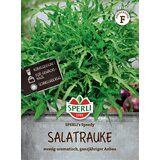 Solatna rukola "SPERLI's Speedy" - 1 pkt. | Shoptok.si