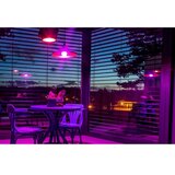  immax neo 07745L - led rgb+cct prigušiva sijalica E14/6W/230V 2700-6500K wi-fi | Eponuda.com