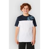 Rip Curl Archive Thrashed Panel Kids T-shirt white Cene