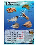  KALENDAR "RIBARNICA 2026" 13 LISTOVA, SPIRALA | shoptok.hr
