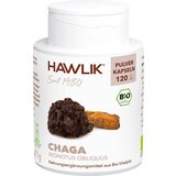  Kapsule iz bio Chaga gobo v prahu - 120 kaps. u