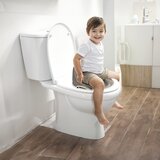 Dolu adapter za wc šolju sa visokim naslonom za leđa - sivi ( 7190 ) Cene