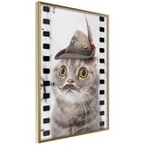  Poster - Dressed Up Cat 40x60 | shoptok.hr