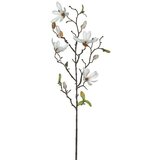  Cvet MAGNOLIA 75cm 1009102 - White - EDL Cene
