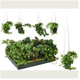 CVIJEĆE 25CM SORTO Cijene