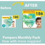 Pampers Harmonie pelene XXL mjesečno pakiranje | shoptok.hr