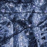 springos lampice za bor Flash 300 LED hladno bijela | shoptok.hr