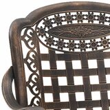  Vrtna stolica 2 pcs Bronzana 55 x 56,5 x 91cm Aluminij | shoptok.hr