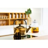 Vialli Design Kuhalo za vodu od nehrđajućeg čelika sjajno zlatno 1,5 l Diamante – | shoptok.hr