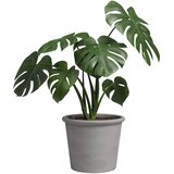 Artevasi Tegla za cvijeće od terakote ø 18 cm Saramago Cilindro – | shoptok.hr